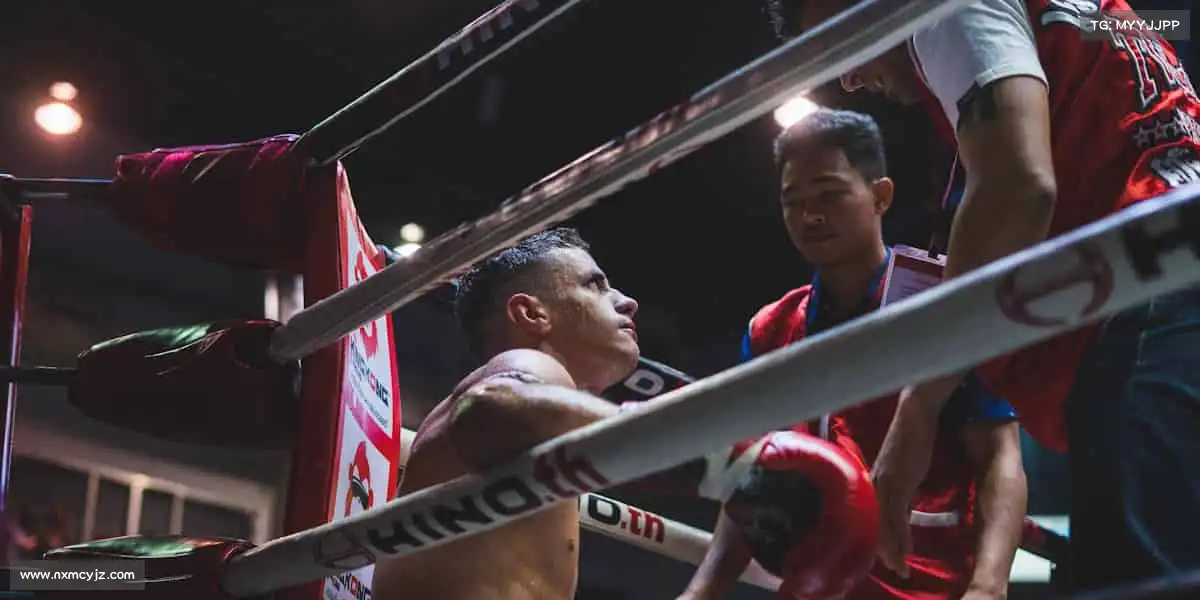 pa视讯游戏——🏇🌄驾驭风的方向,追逐梦想!